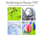 Awakening to Beauty, Volume VIII by University of Dayton. University Honors Program and Angela Ann Zukowski